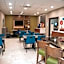 Holiday Inn Express Hotel & Suites Norfolk