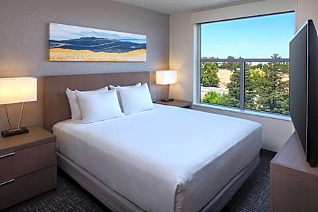 King Studio Suite with Kitchen and Sofa Bed