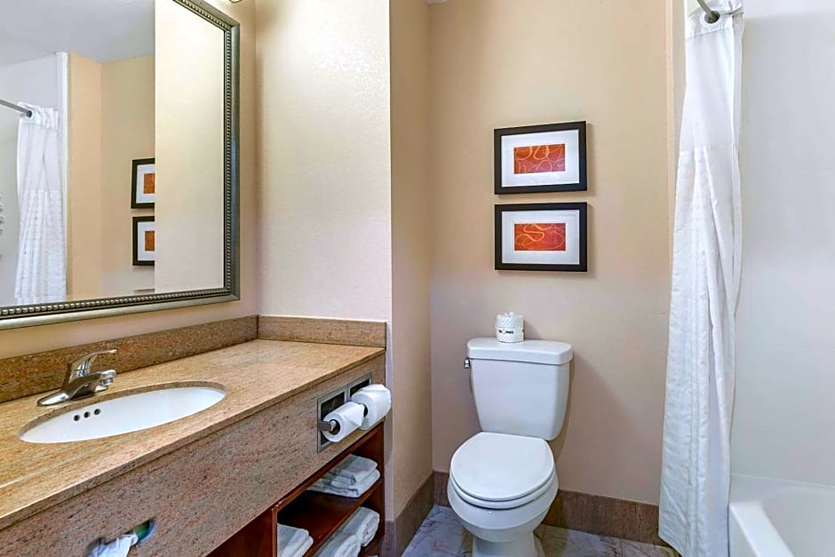 Comfort Suites Leesburg
