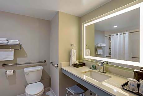 King Room with Roll-In Shower - Disability Access/Non-Smoking