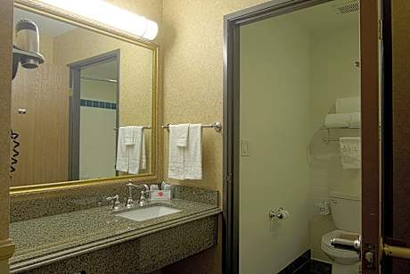 Deluxe King Room - Non-Smoking
