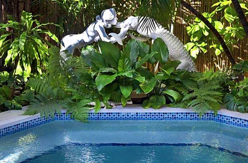 The Mermaid & The Alligator