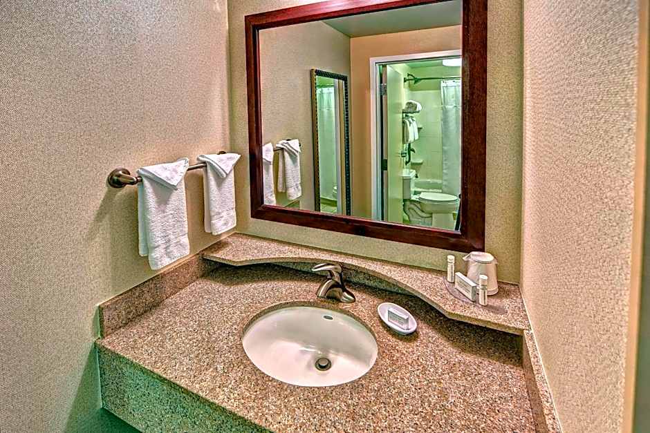 SpringHill Suites by Marriott Norfolk Old Dominion University