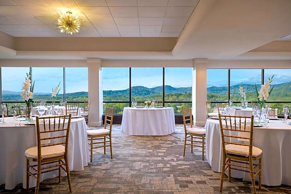 Renaissance Asheville Downtown Hotel