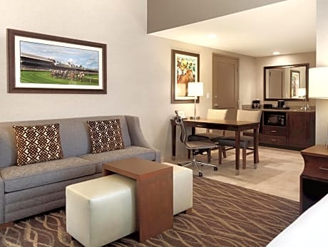 1 King Premium One Room Suite