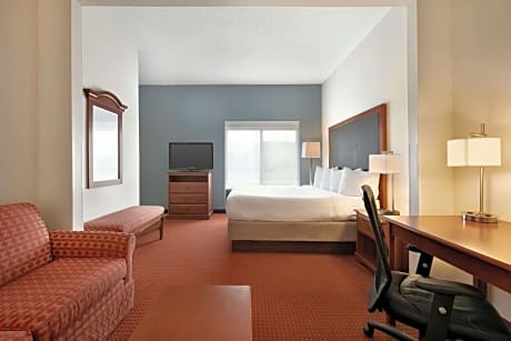 1 King Bed One Bedroom Executive Suite Executive Floor Non-Smoking