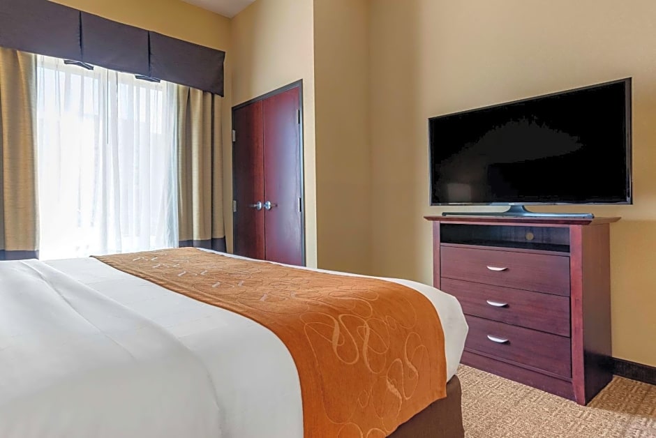 Comfort Suites Airport South