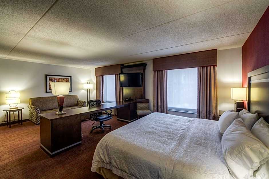 Hampton Inn By Hilton And Suites Detroit/Airport-Romulus