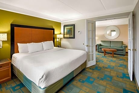 One-Bedroom King Suite - Non-Smoking