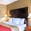 Comfort Inn Rockland