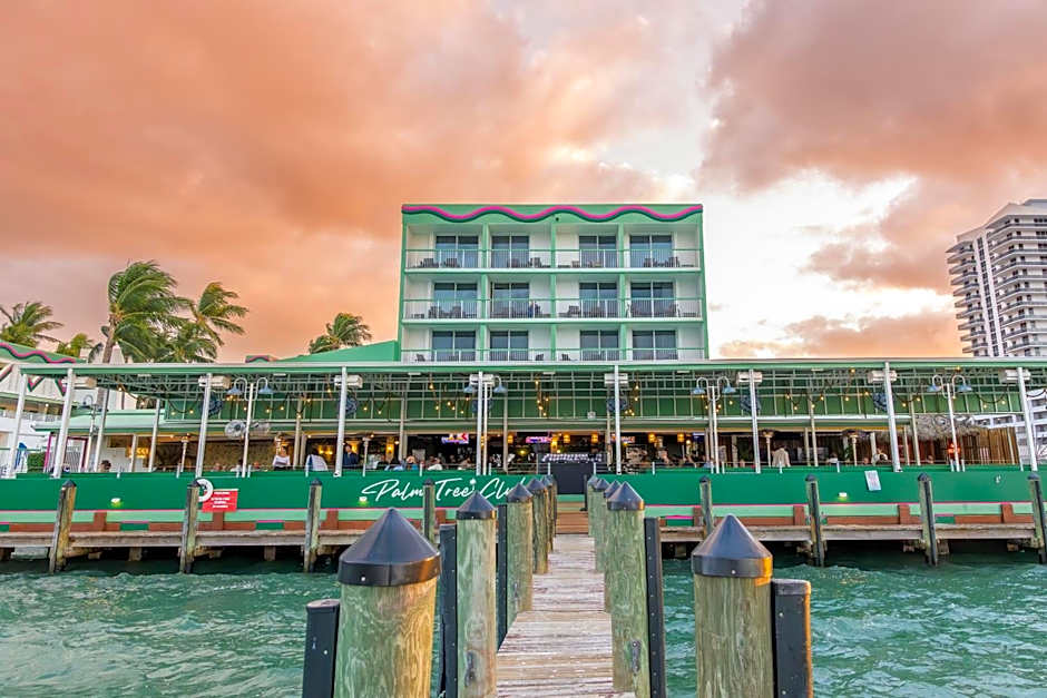 Palm Tree Club Miami