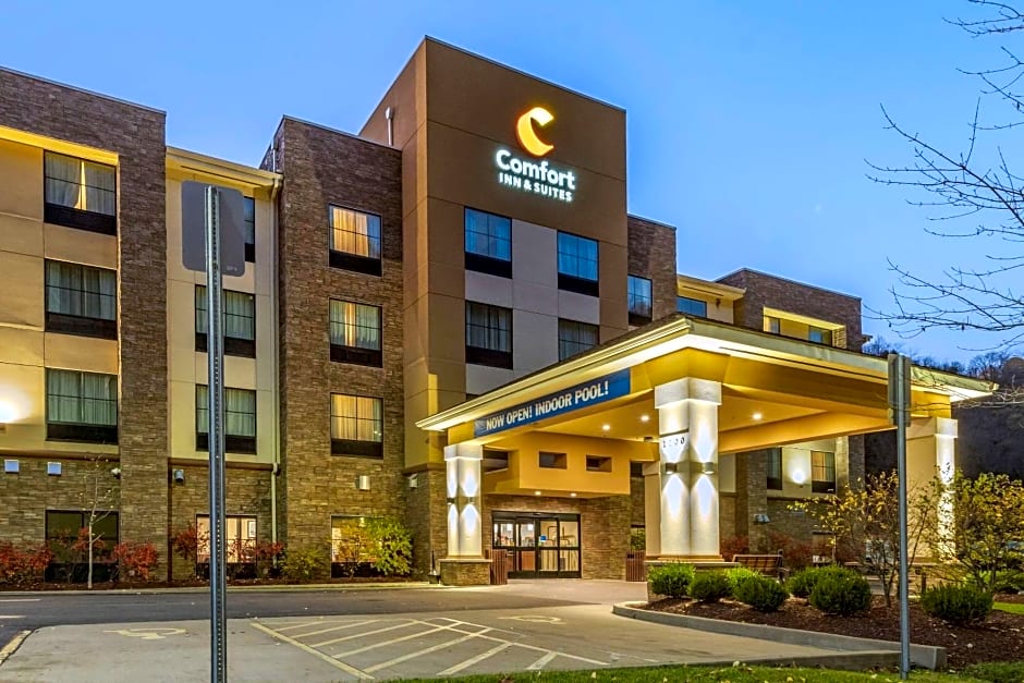 Comfort Inn & Suites Pittsburgh
