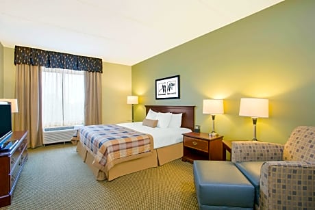 1 King Bed Non-Smoking
