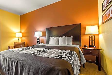 King Room - Accessible/Non-Smoking