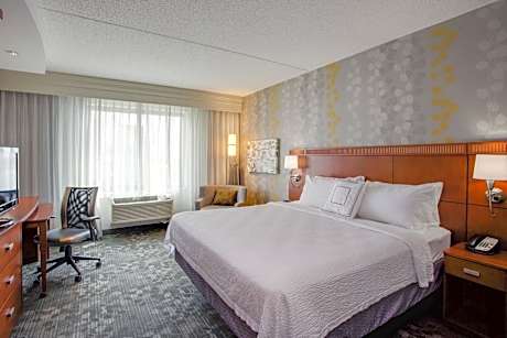 Room, 1 King Bed with Sofa bed (1 King Bed and 1 Double Sofa Bed)