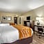 Comfort Inn Marion