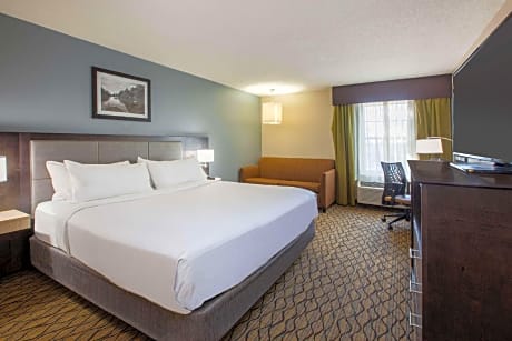 1 King Bed, Mobility Accessible Room, Non-Smoking