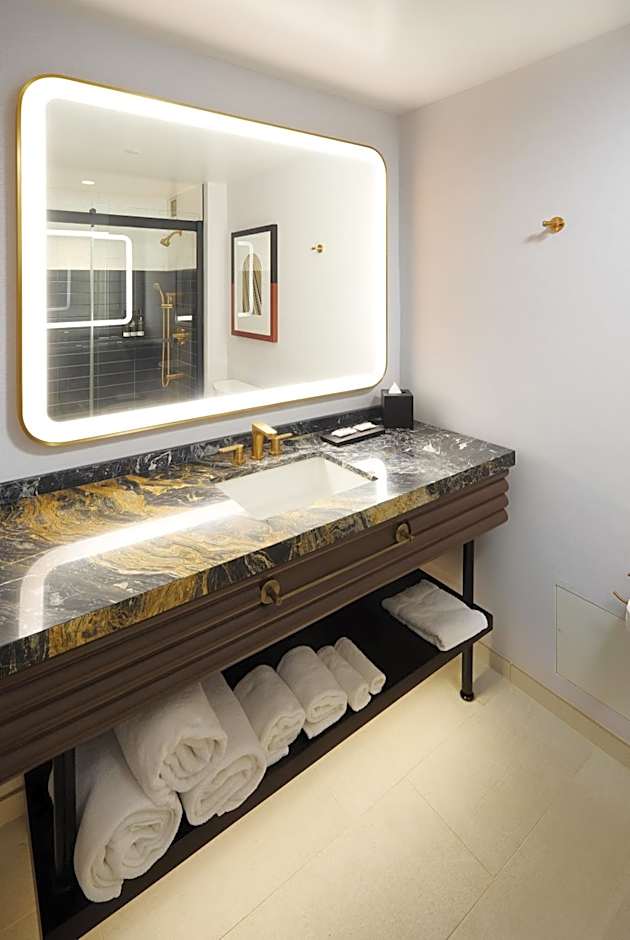 Hyatt Centric Chicago Ohare