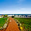 Daytona Shores Inn and Suites
