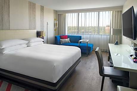 Guest Room, 1 King