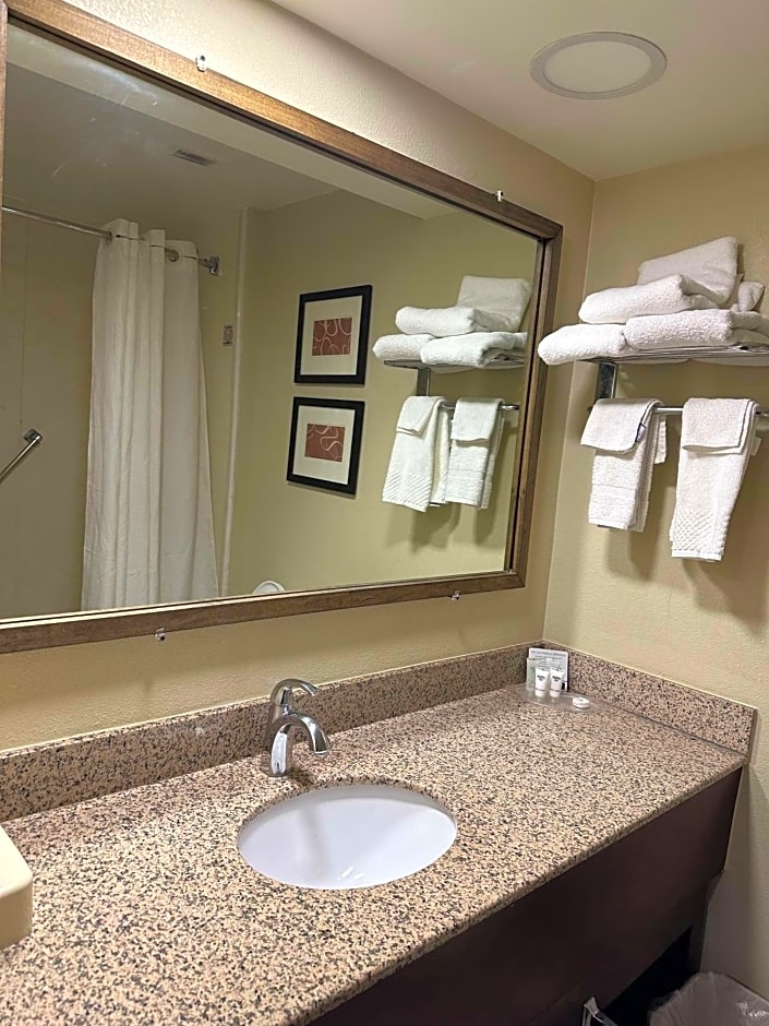 Vista Suites Pigeon Forge, SureStay Collection by BW