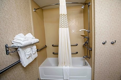 1 King Accessible with Tub