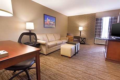 Superior King Suite