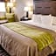 Comfort Inn Downtown Charleston