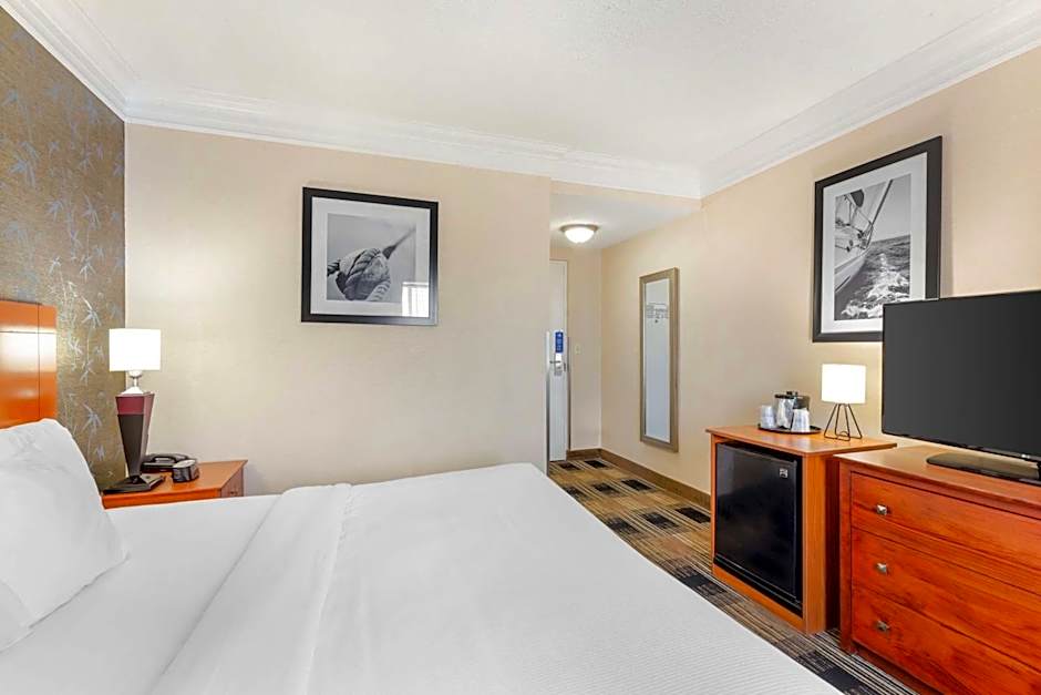 Best Western The Inn At Rochester Airport