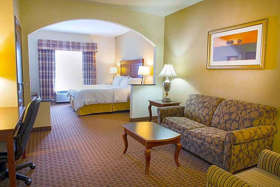 Holiday Inn Express Hotel & Suites Center