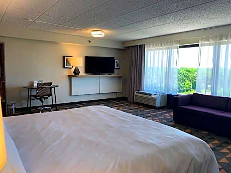 One-Bedroom King Suite