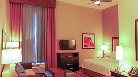 1 King Bed Studio Suite Nonsmoking