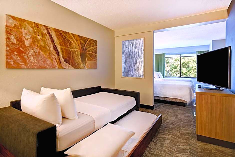 SpringHill Suites by Marriott Atlanta Kennesaw
