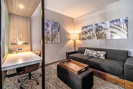 Suite, 1 King, Trundle bed