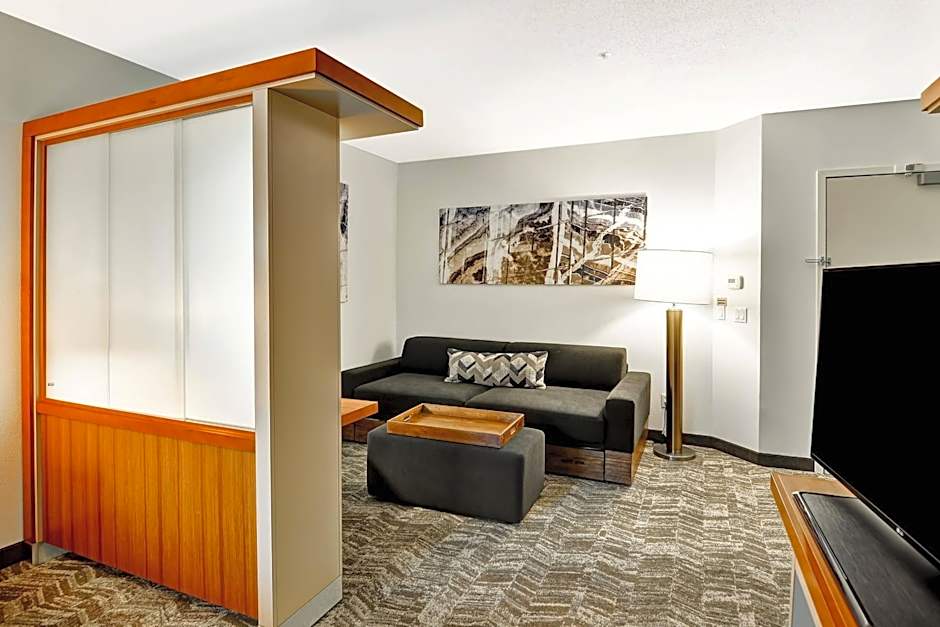 SpringHill Suites By Marriott Columbia Fort Meade Area