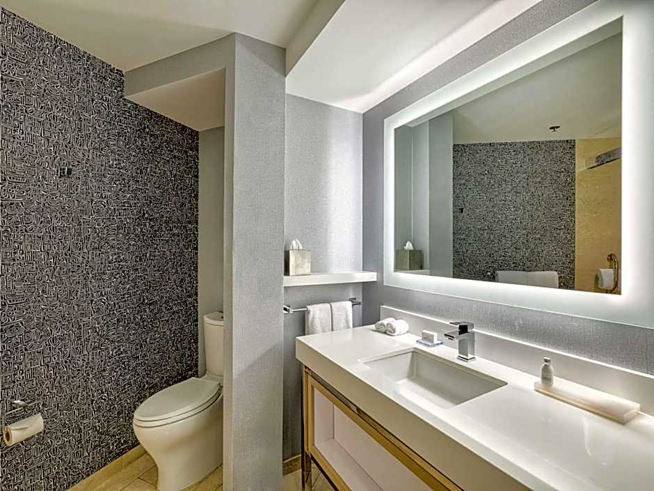 The Royal Sonesta Minneapolis Downtown