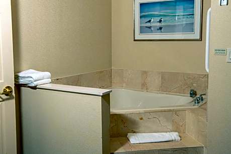 Deluxe King Suite