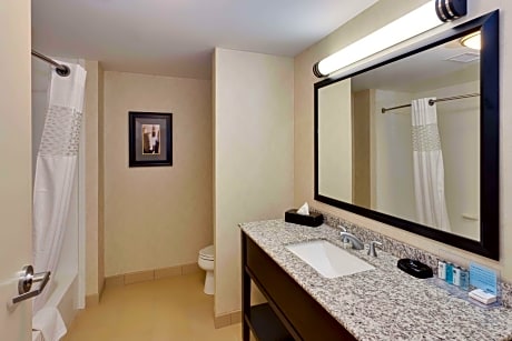 King Room with Accessible Tub - Mobility and Hearing Access/Non-Smoking