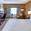 Holiday Inn St. Petersburg N - Clearwater