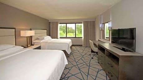 Double Room with Two Double Beds