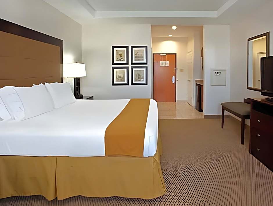 Holiday Inn Express Texas City