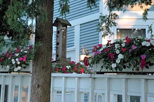White Rose Motel