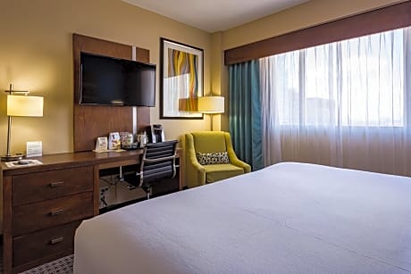 One-Bedroom King Suite