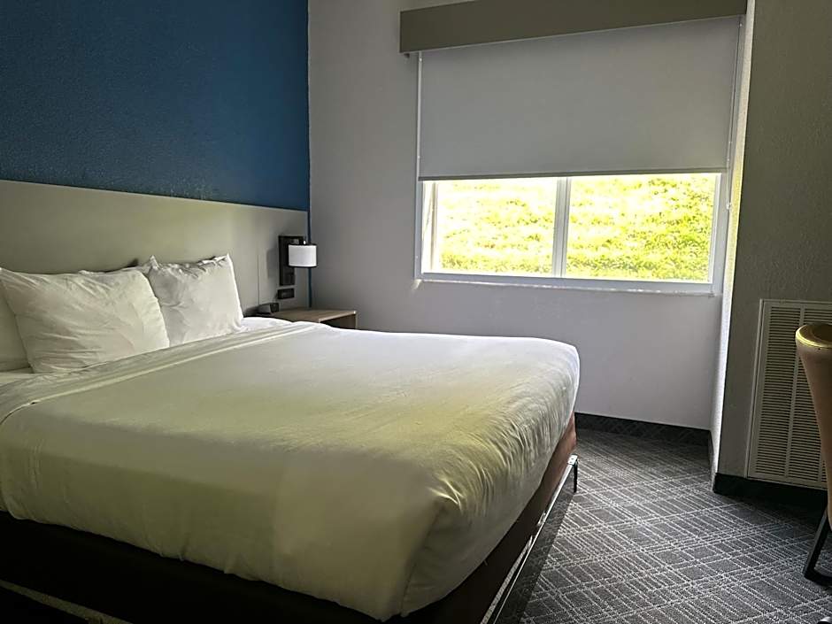 Comfort Inn & Suites Cartersville - Emerson Lake Point