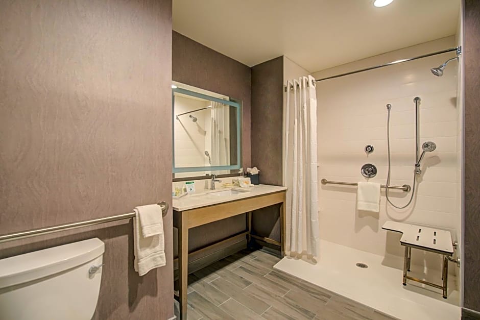 Holiday Inn Hotel & Suites Houston West - Katy Mills