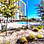 1 bedroom condo F1 / Superbowl Availability