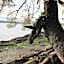 Black Bear Inn