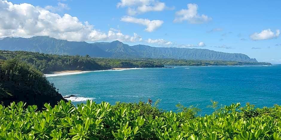 Castle At Princeville