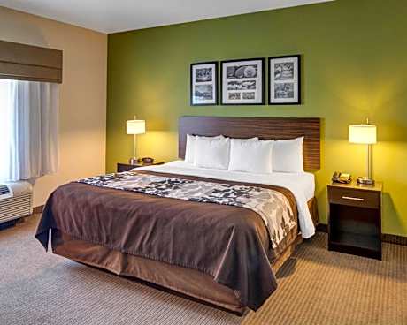 1 Bedroom King Suite