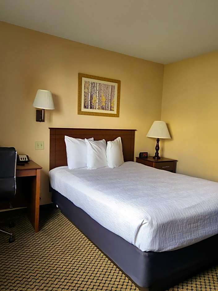 Luxury Inn & Suites